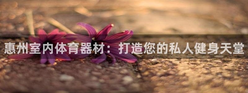 富联平台娱乐：惠州室内体育器材：打造您的私人健身天堂