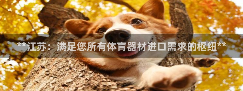 富联官网注册流程：**江苏：满足您所有体育器材进口需