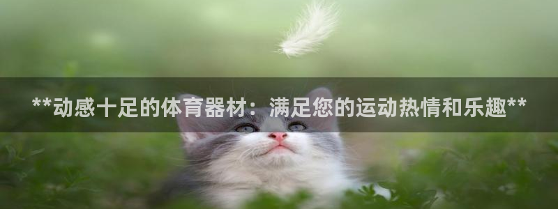 富联平台开户流程：**动感十足的体育器材：满足您的运