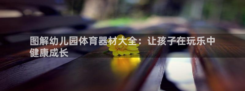 富联平台项7O777：图解幼儿园体育器材大全：让孩子