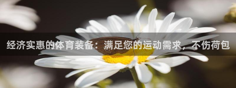 富联娱乐认 58534I 富联：经济实惠的体育装备：