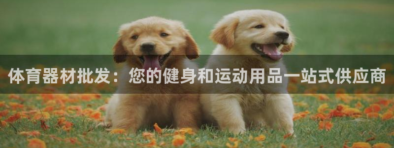 富联平台项7O777：体育器材批发：您的健身和运动用
