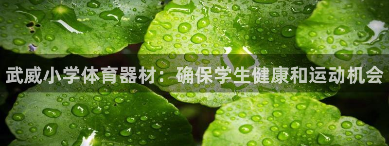 富联丰地产交易平台：武威小学体育器材：确保学生健康和