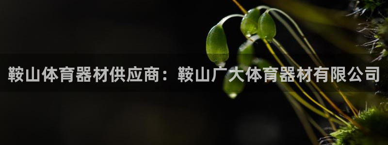 富联平台上级下级是什么意思：鞍山体育器材供应商：鞍山