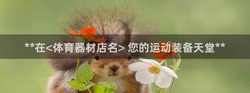 富联娱乐是什么时候开的股票：**在<体育器材店名> 