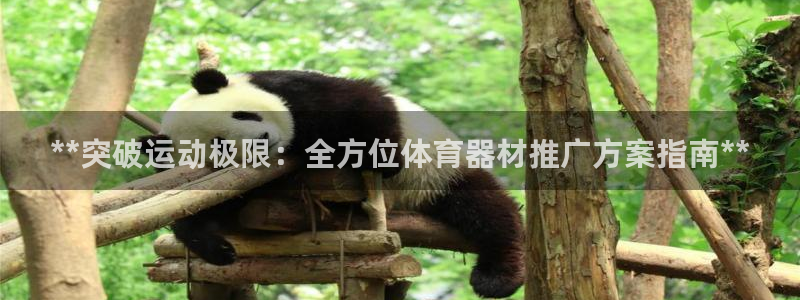 富联娱乐客服微信号是多少：**突破运动极限：全方位体