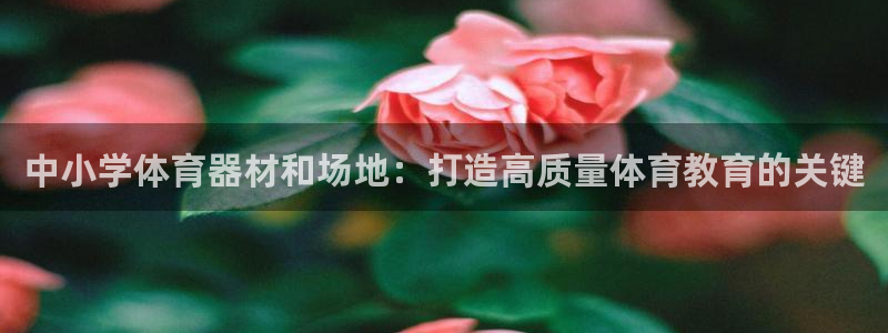 富联娱乐是真的吗：中小学体育器材和场地：打造高质量体