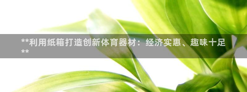 富联平台非7O777：**利用纸箱打造创新体育器材：