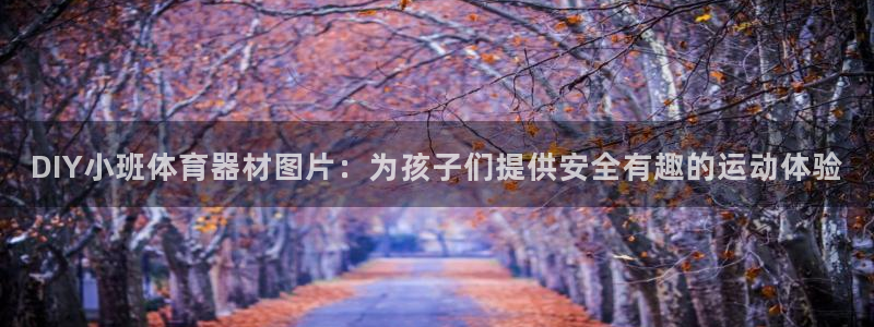 富联平台马 411O31 富联：DIY小班体育器材图