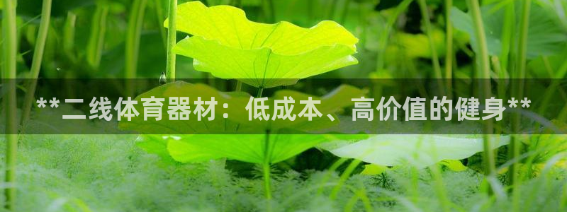 富联平台官网登录入口下载：**二线体育器材：低成本、