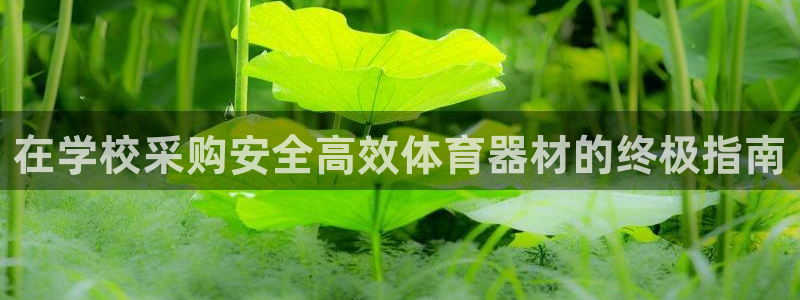 富联机器人产业研发基地：在学校采购安全高效体育器材的