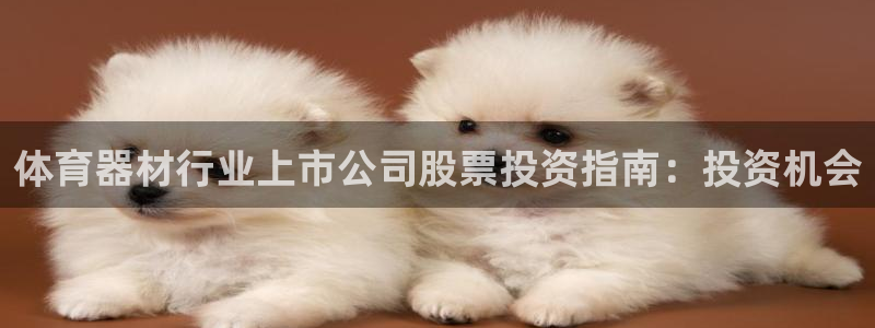 富联平台主管代理：体育器材行业上市公司股票投资指南：