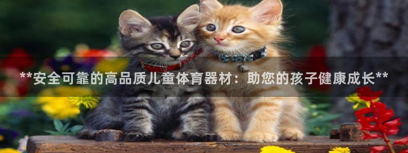 富联娱乐股东构成：**安全可靠的高品质儿童体育器材：