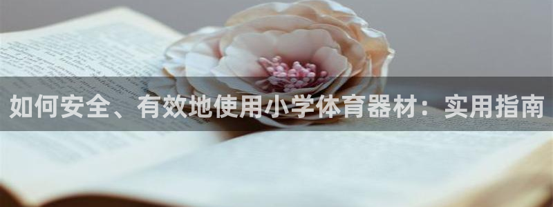富联集团最新消息新闻：如何安全、有效地使用小学体育器