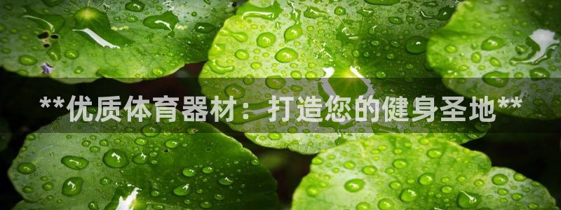 富联是什么板块：**优质体育器材：打造您的健身圣地*