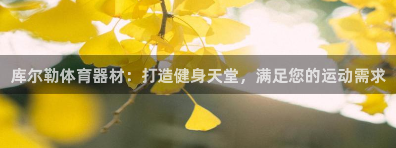 富联集团董事长：库尔勒体育器材：打造健身天堂，满足您