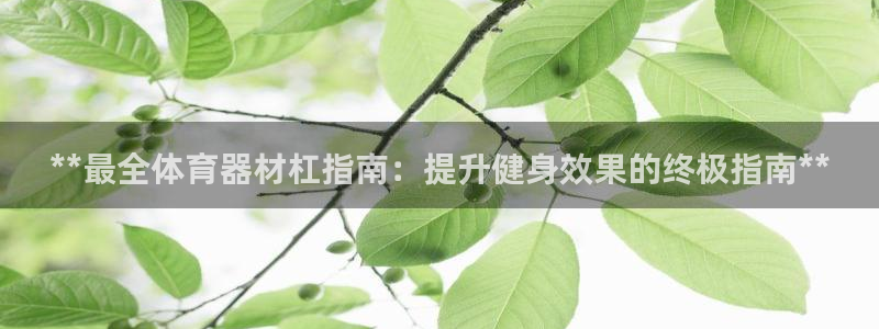 富联公寓租房怎么样：**最全体育器材杠指南：提升健身