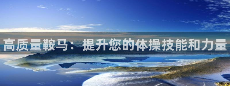 香港富联集团：高质量鞍马：提升您的体操技能和力量