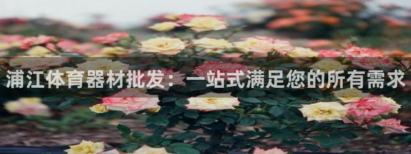 富联平台总代理电话：浦江体育器材批发：一站式满足您的