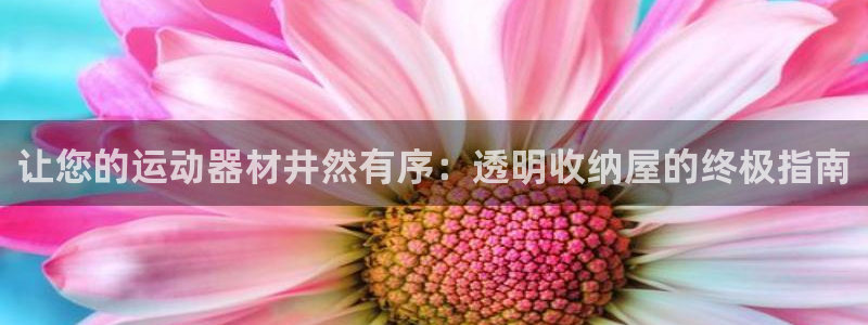 富联一区属于哪个街道：让您的运动器材井然有序：透明收