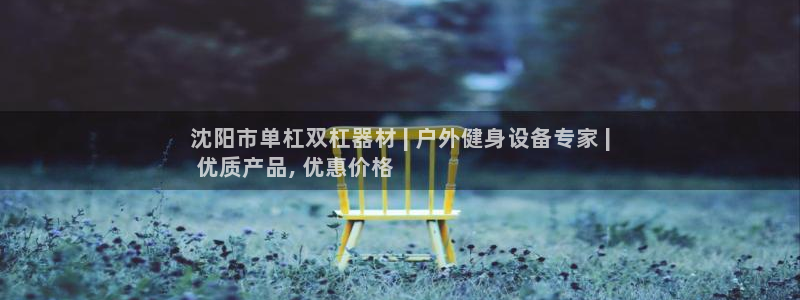 富联平台李 411O31 富联：沈阳市单杠双杠器材 