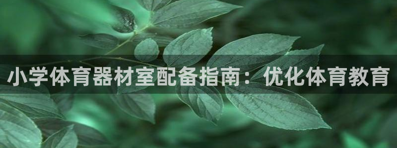富联智能工坊：小学体育器材室配备指南：优化体育教育