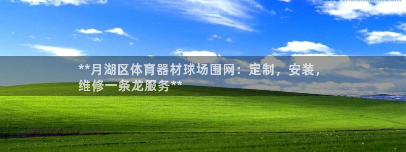 富联平台注册登录：**月湖区体育器材球场围网：定制，