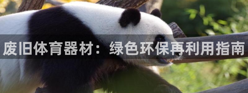 富联官方网站入口查询网址：废旧体育器材：绿色环保再利