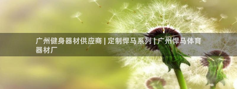 富联商厦：广州健身器材供应商 | 定制悍马系列 | 