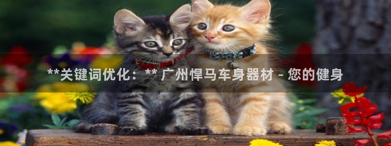 富联娱乐代理怎么做：**关键词优化：** 广州悍马车