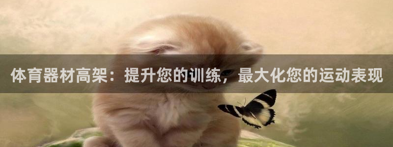 富联娱乐在线注册链接是什么：体育器材高架：提升您的训