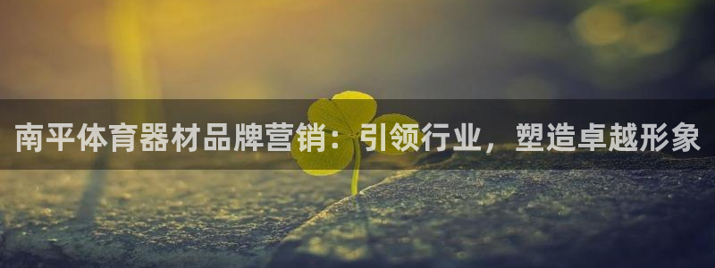 富联集团做什么的呀：南平体育器材品牌营销：引领行业，