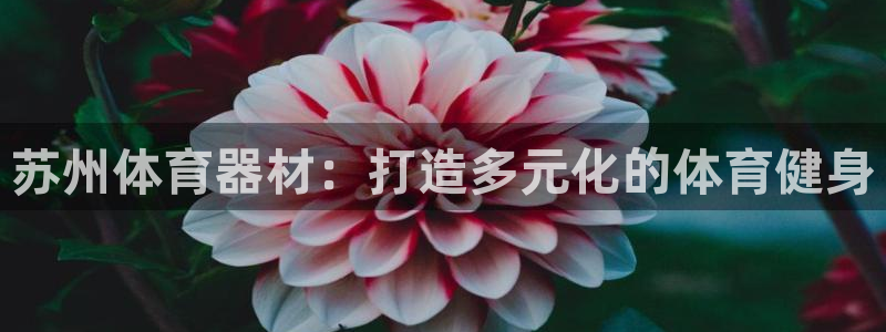 富联平台官网登录入口网址：苏州体育器材：打造多元化的