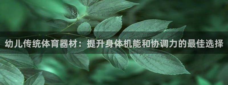 富联娱乐按7O777：幼儿传统体育器材：提升身体机能