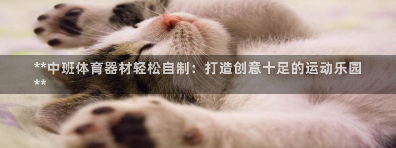 富联娱乐怎么样可靠吗：**中班体育器材轻松自制：打造