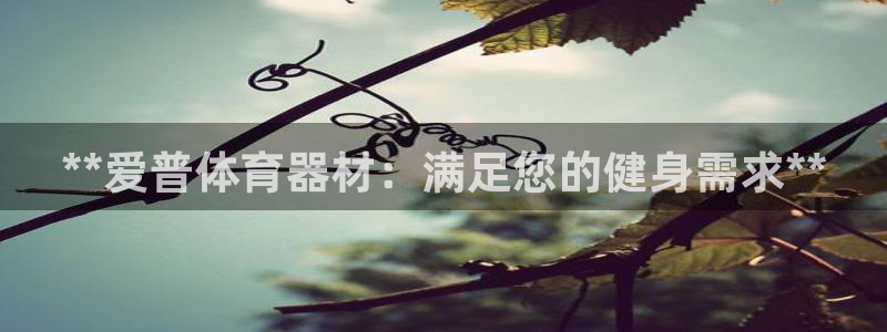 富联娱乐马 411O31 娱乐：**爱普体育器材：满
