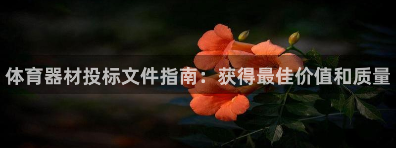 富联娱乐股东结构：体育器材投标文件指南：获得最佳价值