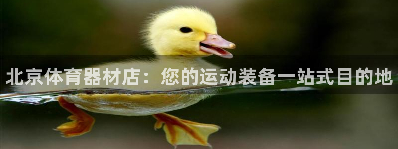 富联娱乐登录注册入口官网：北京体育器材店：您的运动装