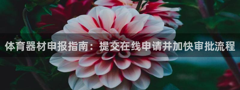 富联娱乐总代理是谁：体育器材申报指南：提交在线申请并