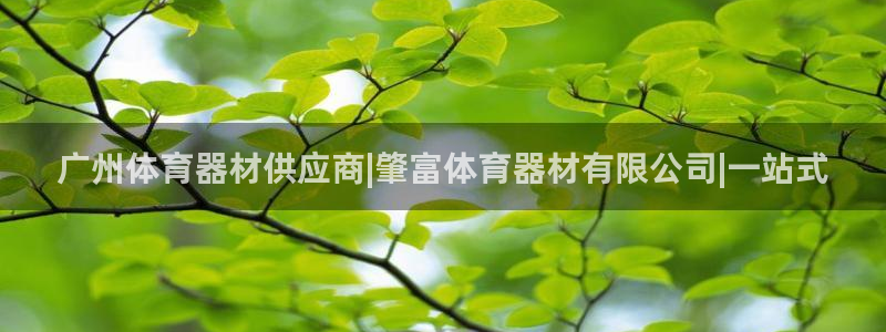 富联娱乐服务站：广州体育器材供应商|肇富体育器材有限