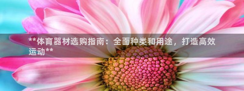 富联劳务：**体育器材选购指南：全面种类和用途，打造