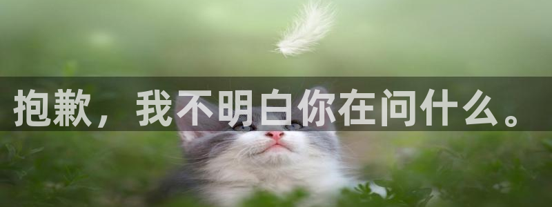 富联平台目 411O31 富联：抱歉，我不明白你在问