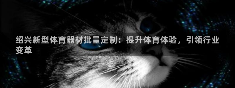 富联娱乐总代理：绍兴新型体育器材批量定制：提升体育体