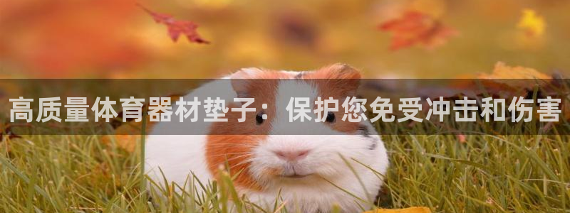 富联申购何时上市：高质量体育器材垫子：保护您免受冲击