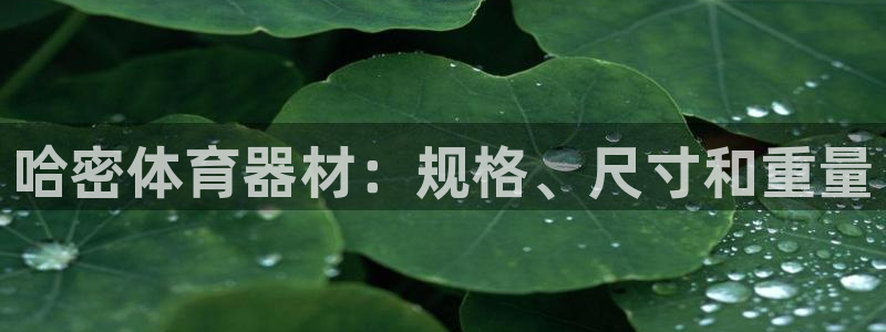 富联平台认可 585.34I 富联：哈密体育器材：规