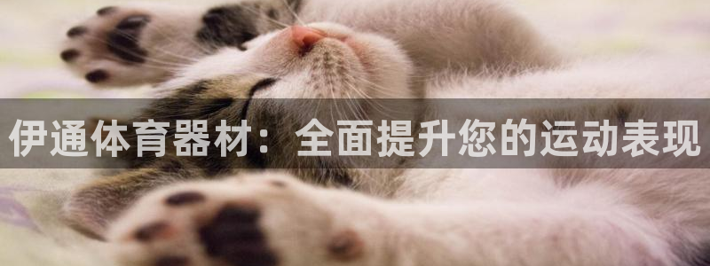 富联娱乐客户端app下载服务器异常怎么办：伊通体育器