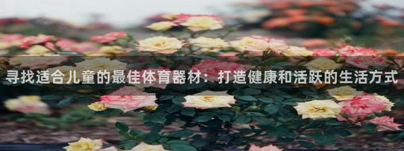 富联官方网站首页：寻找适合儿童的最佳体育器材：打造健