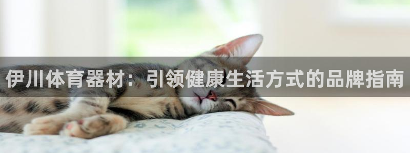 富联通讯招聘