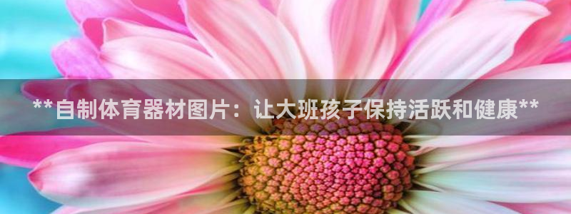 富联通讯招聘：**自制体育器材图片：让大班孩子保持活