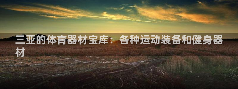 富联娱乐是什么时候开的：三亚的体育器材宝库：各种运动